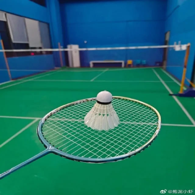 数据洞察:世界杯参赛队训练数据解析