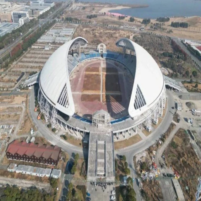 辽宁队季后赛关键战术与挑战分析